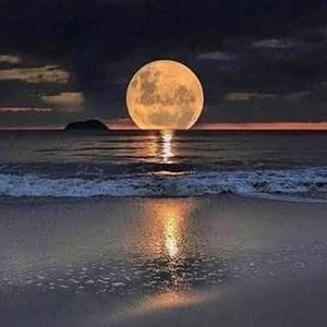 Meet your Posher, Brooks